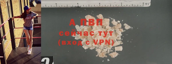 кокс Гусев