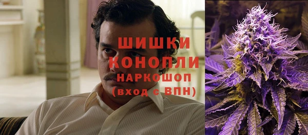 экстази Гусь-Хрустальный