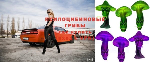 гашик Горно-Алтайск