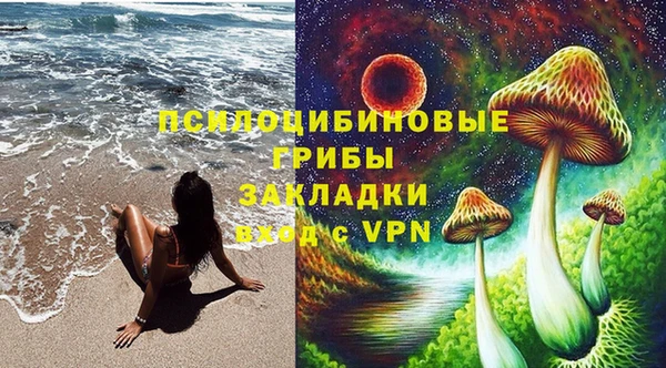 гашик Горно-Алтайск