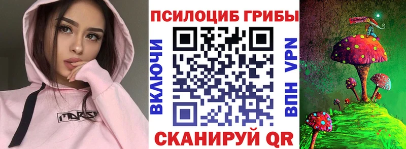 KRAKEN ONION  Горячеводский  Псилоцибиновые грибы Psilocybe 
